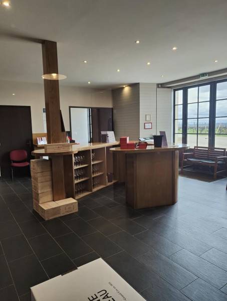 Service de nettoyage et d'entretien pour les propriétés viticoles sur la région de Bordeaux